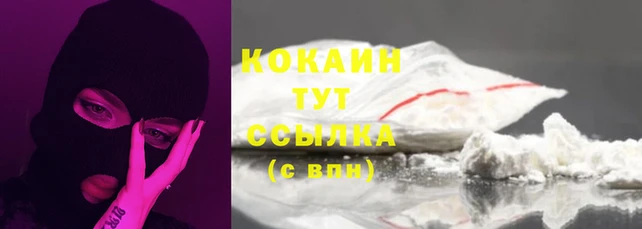 мяу мяу мука Мурманск